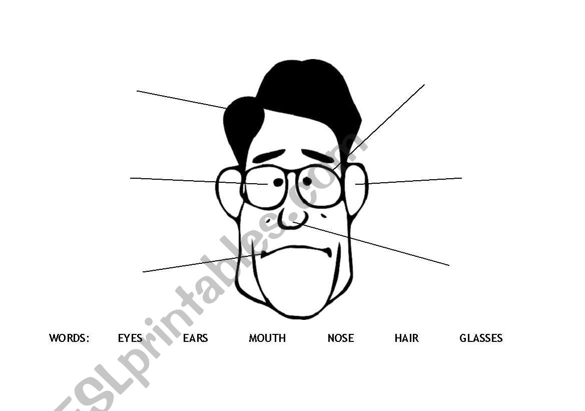 The Face worksheet