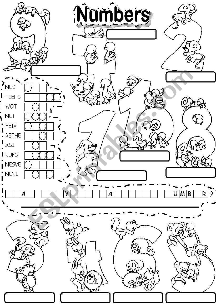 NUMBERS PUZZLE worksheet