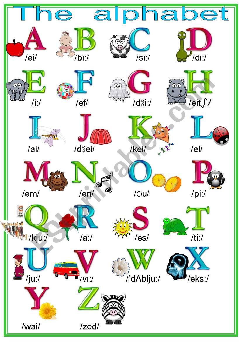 The alphabet worksheet