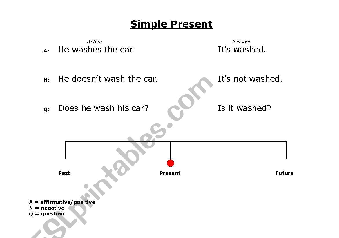 Simple Present on time line worksheet