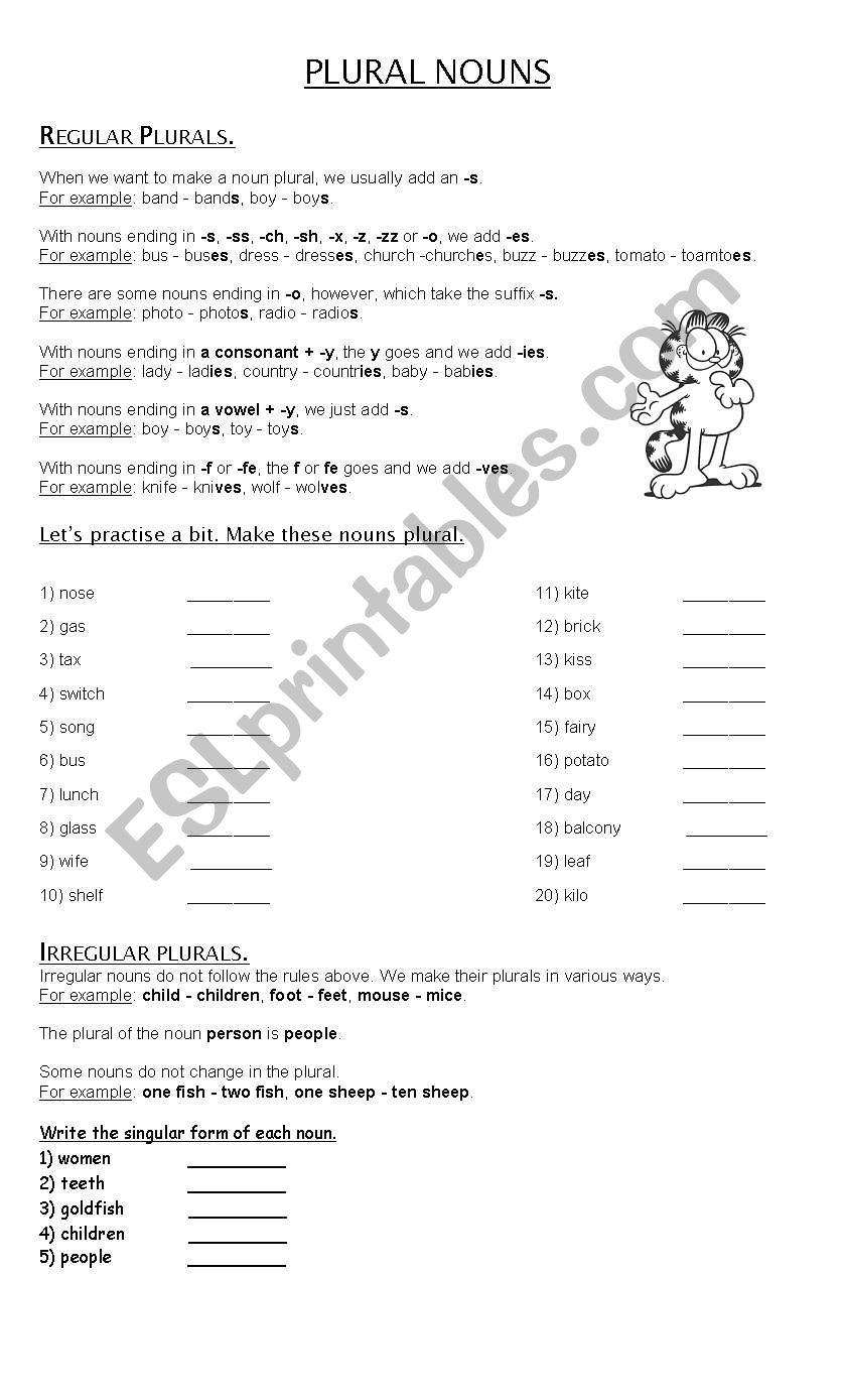 PLURAL NOUNS worksheet