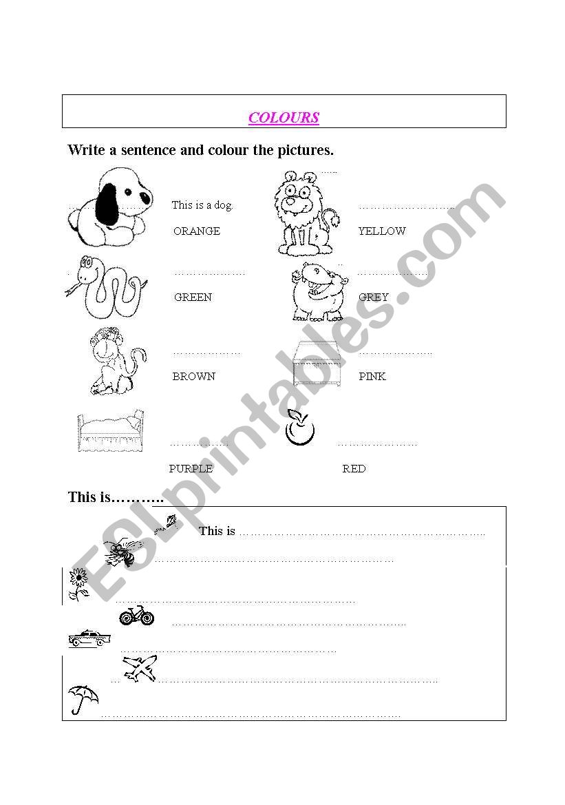 colours worksheet