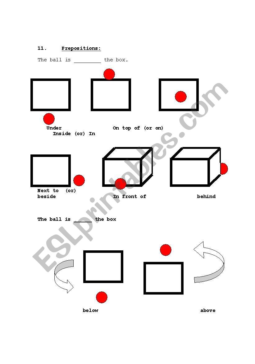 Prepositions WS worksheet