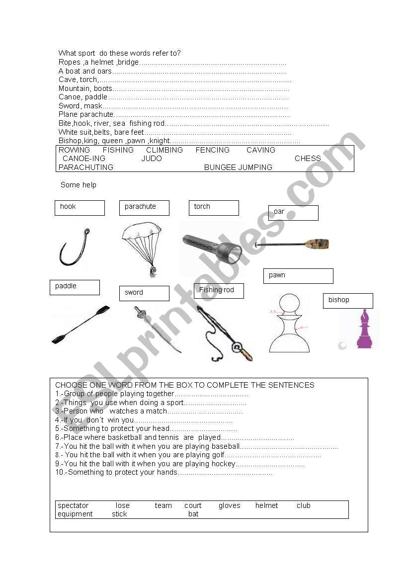 what sport? worksheet