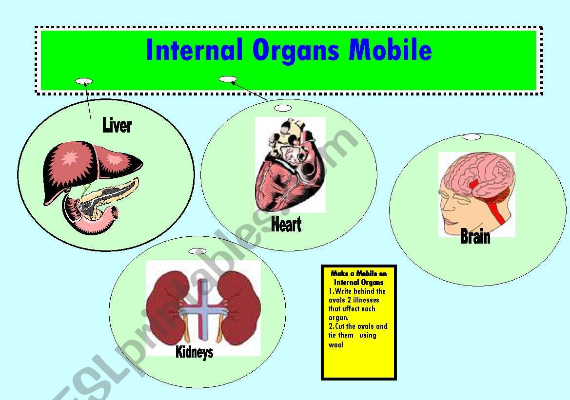 Speaking Internal Organs Mobile 2 pages
