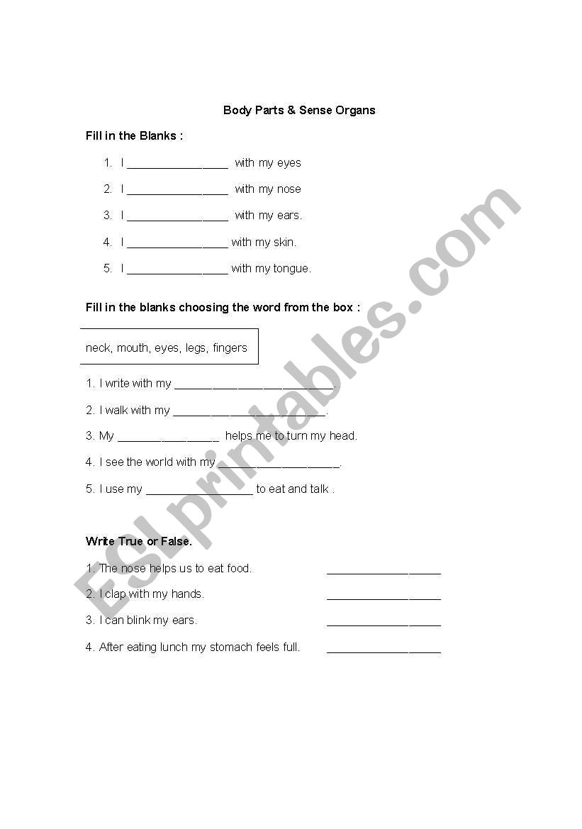 Body Parts and Sense Organs worksheet