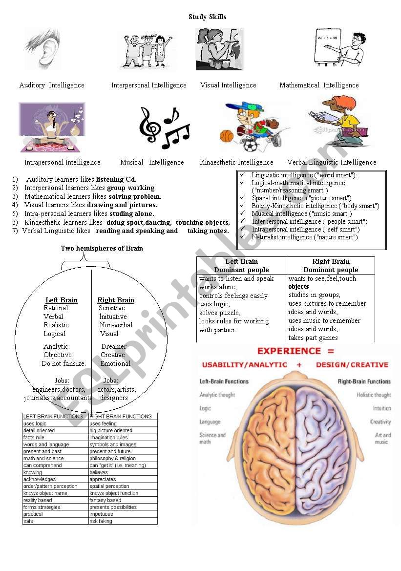 Learning Styles Worksheet Printable