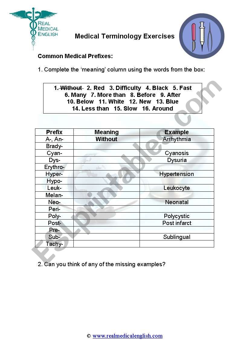 20. Medical Terminology - Prefixes - ESL worksheet by Inside Medical Terminology Prefixes Worksheet