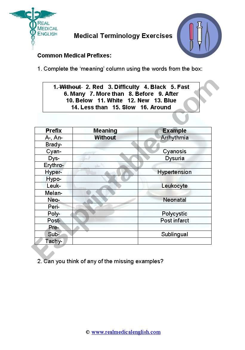Medical terminology worksheet answers