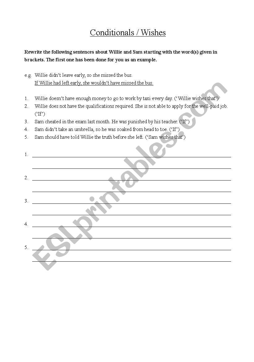 Conditionals / Wishes worksheet