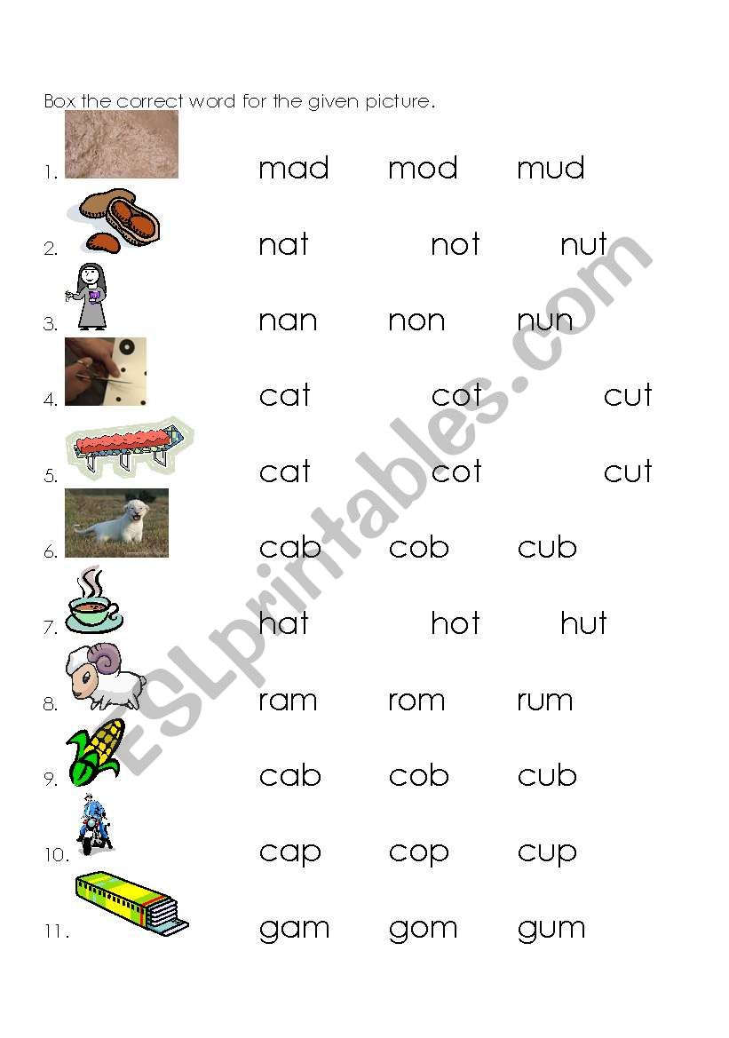 english-worksheets-homonyms