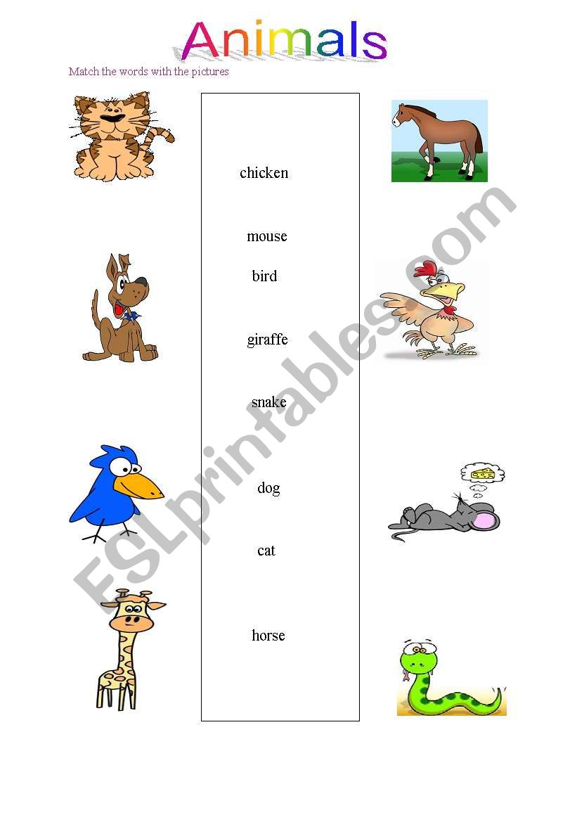 Animals worksheet for elementary students