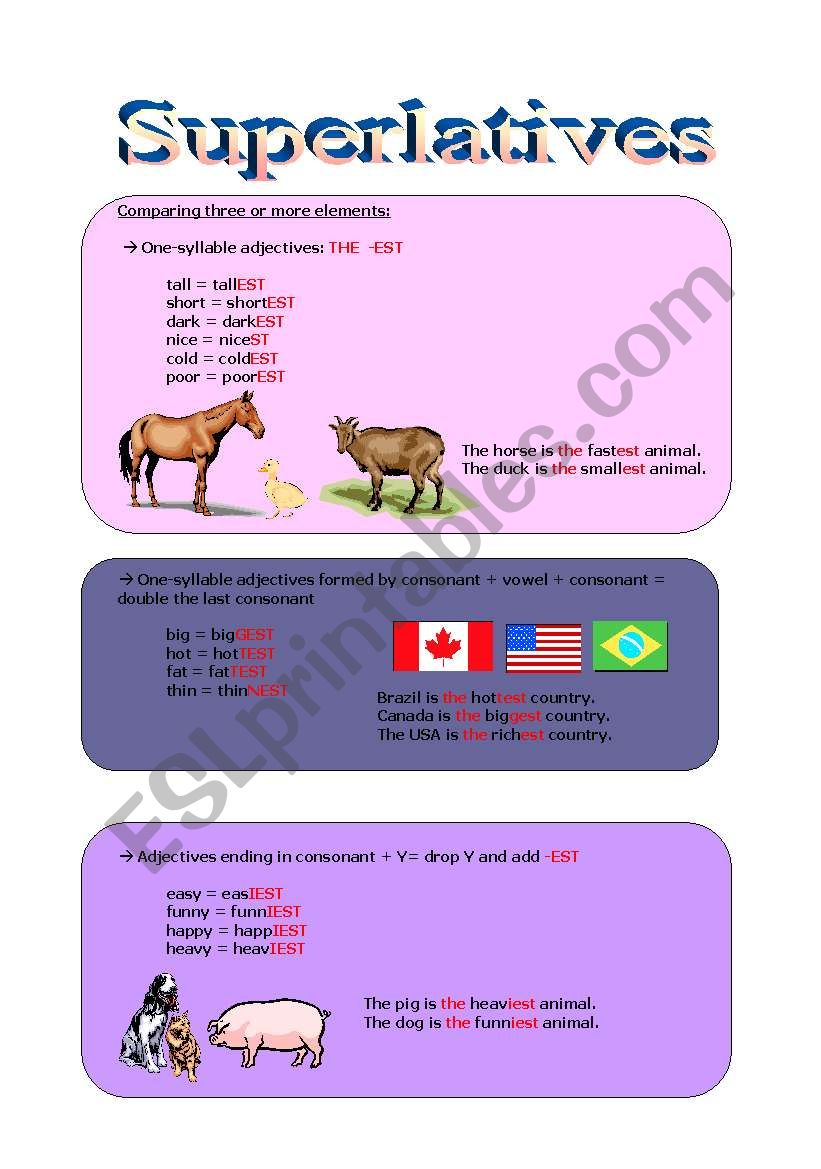 Superlatives worksheet