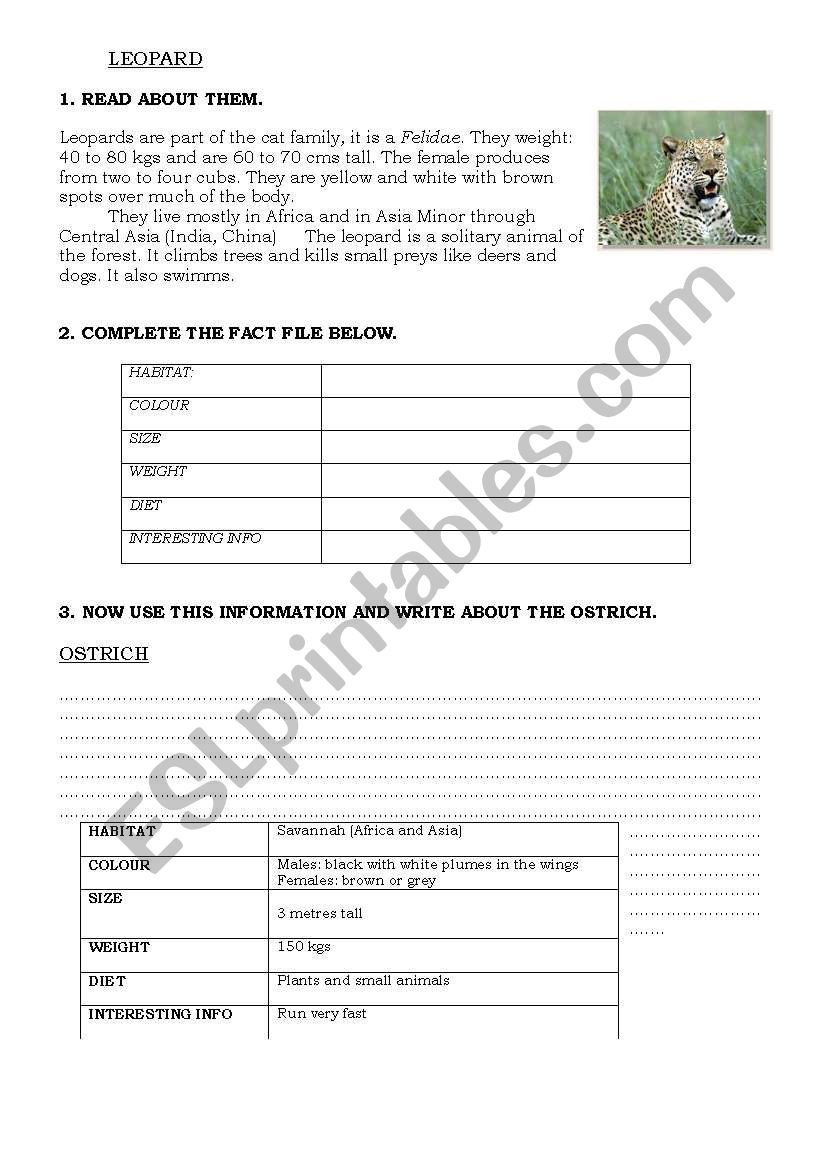 animals fact file  worksheet