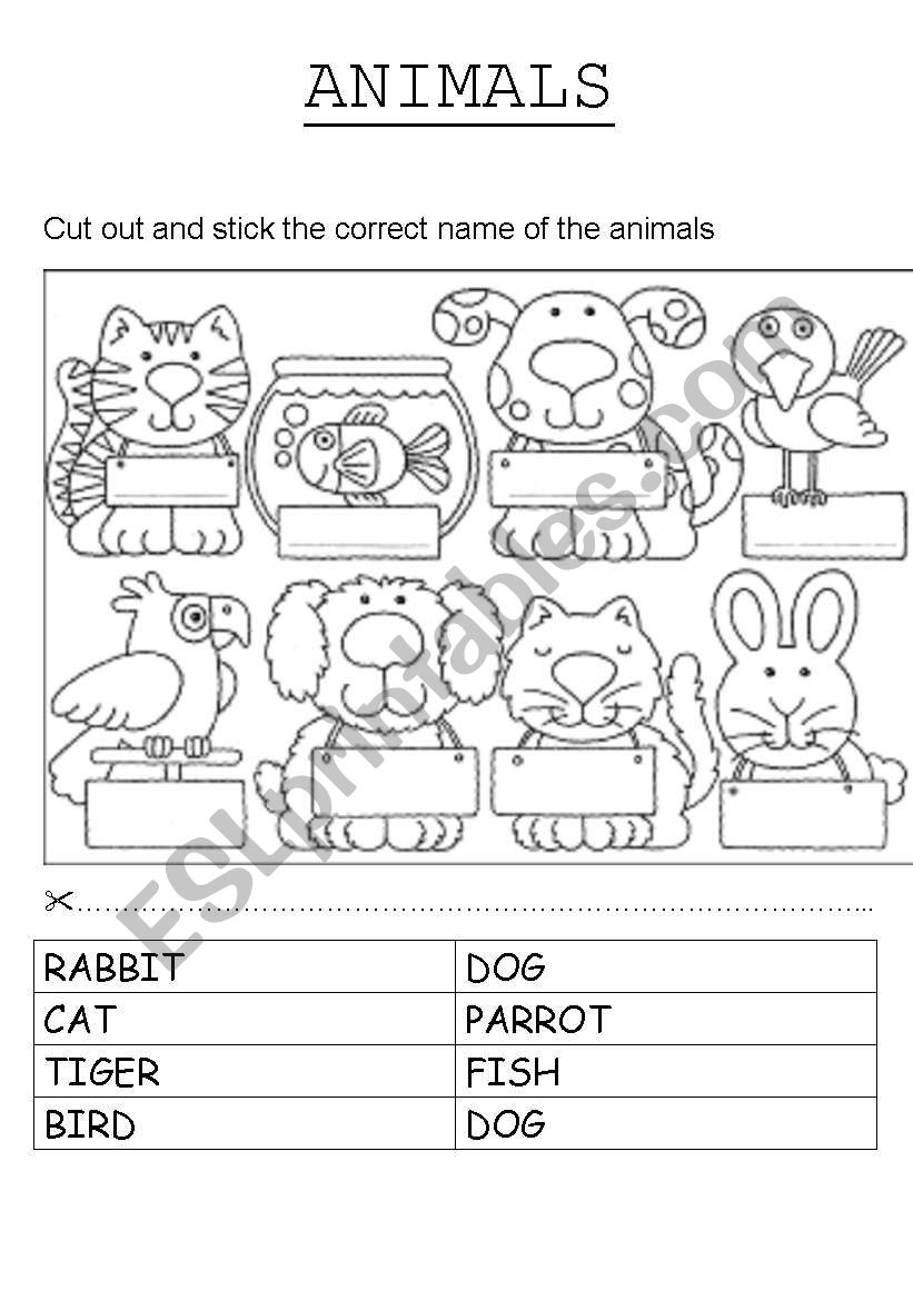 Animals worksheet