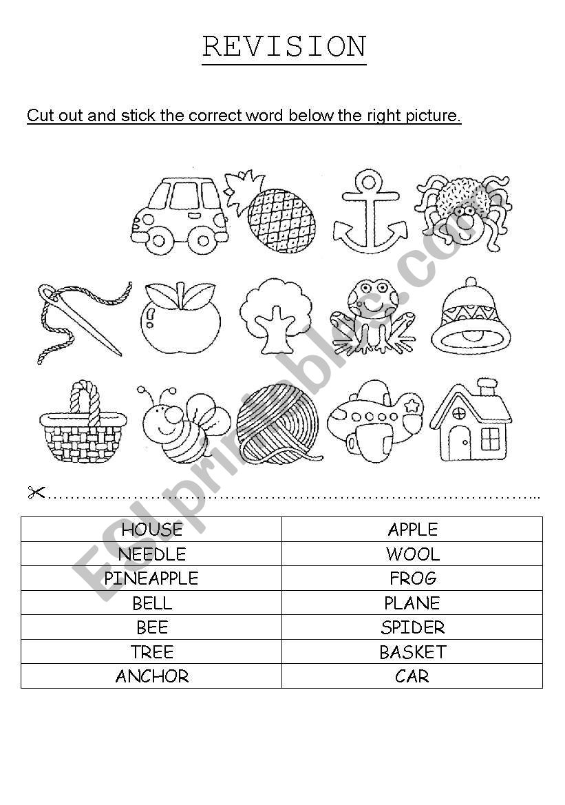 General revision worksheet