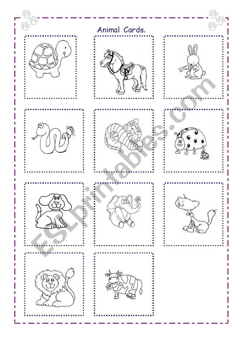Animal Cards  worksheet