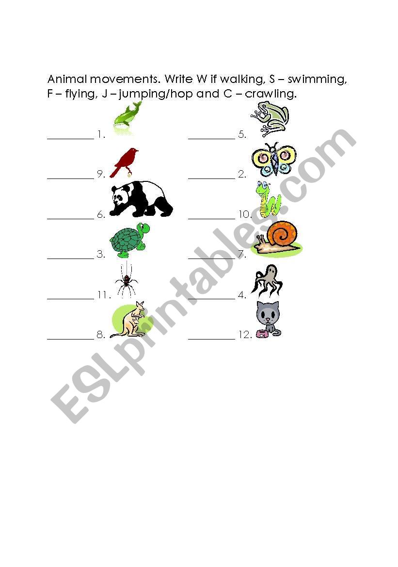 Animal Movements worksheet