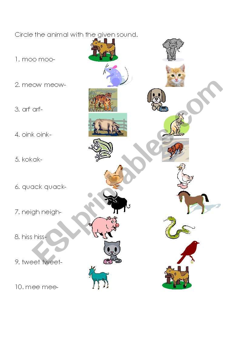 Animal Sounds worksheet