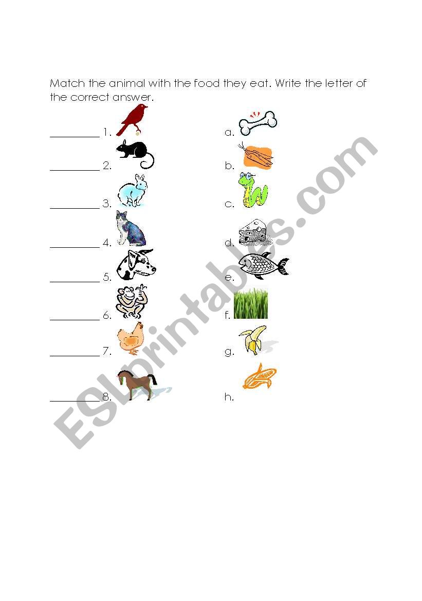Animals and the food they eat worksheet