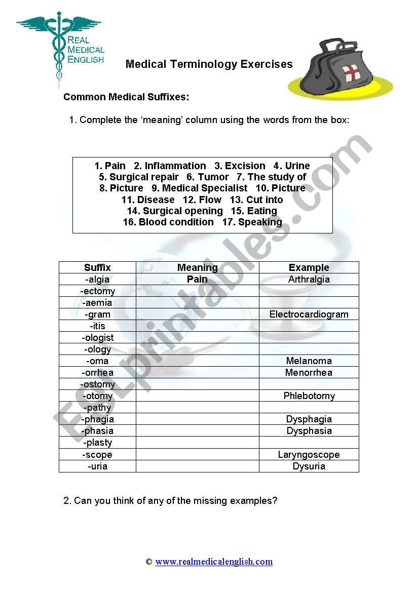 20. Medical Terminology - Suffixes - ESL worksheet by Throughout Medical Terminology Prefixes Worksheet