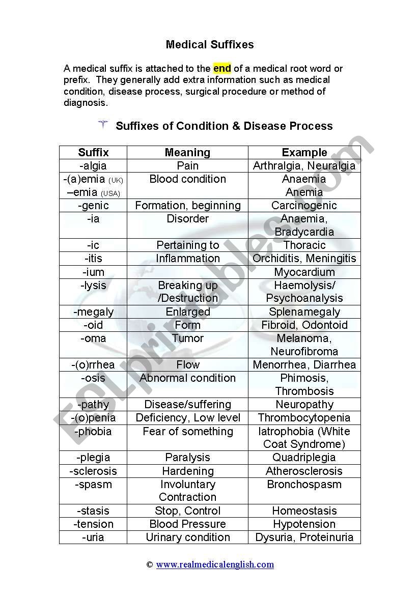 20. Medical Terminology - Suffixes - ESL worksheet by Inside Medical Terminology Suffixes Worksheet