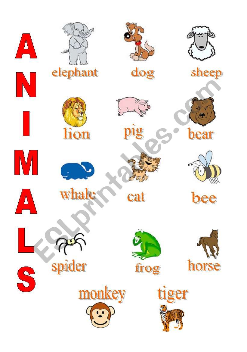 animal worksheet
