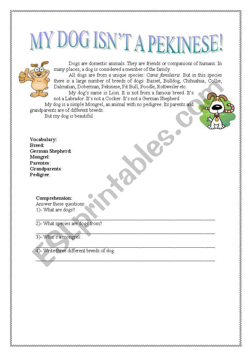 My dog isnt a pekinese! worksheet