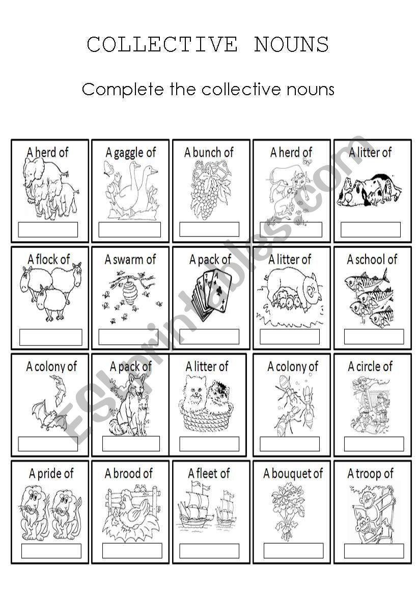 Collective nouns worksheet