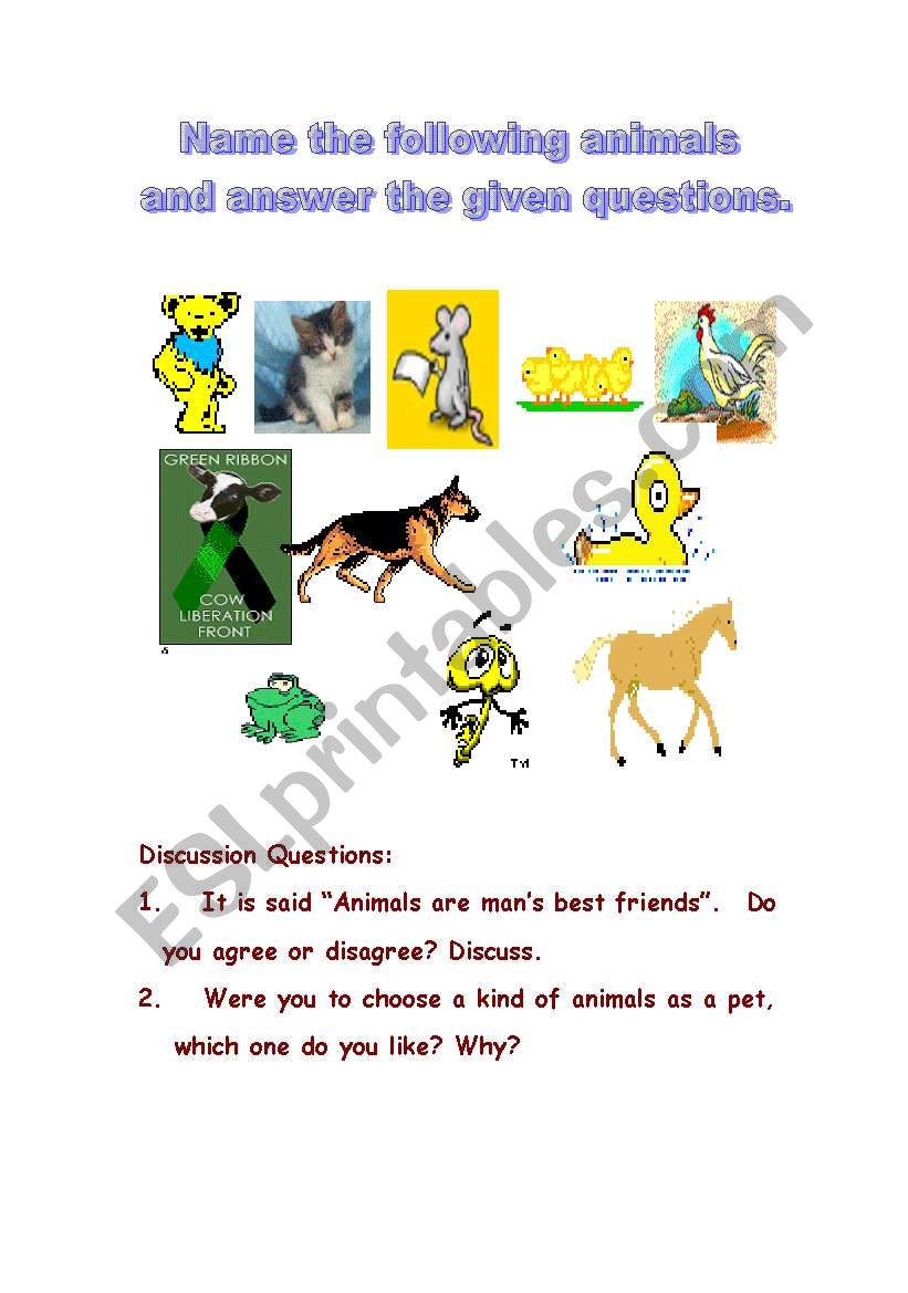 Animals worksheet