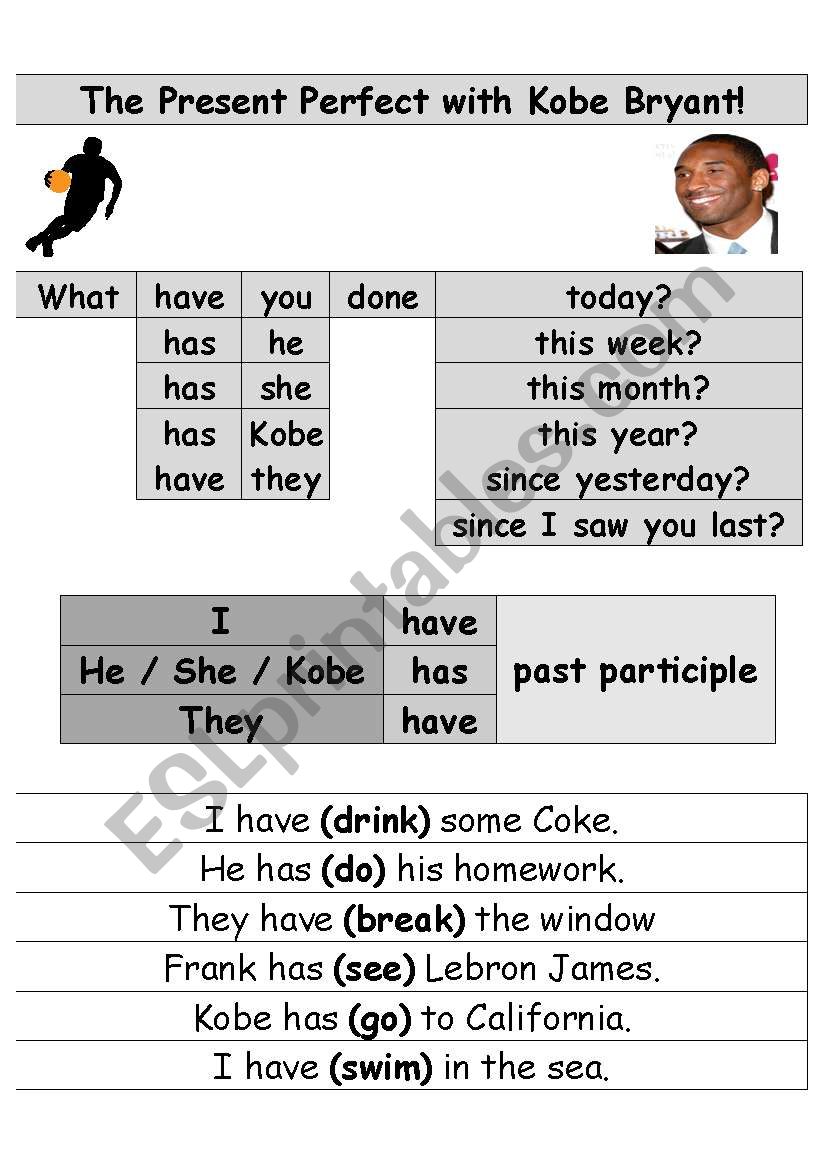 The present perfect with Kobe worksheet