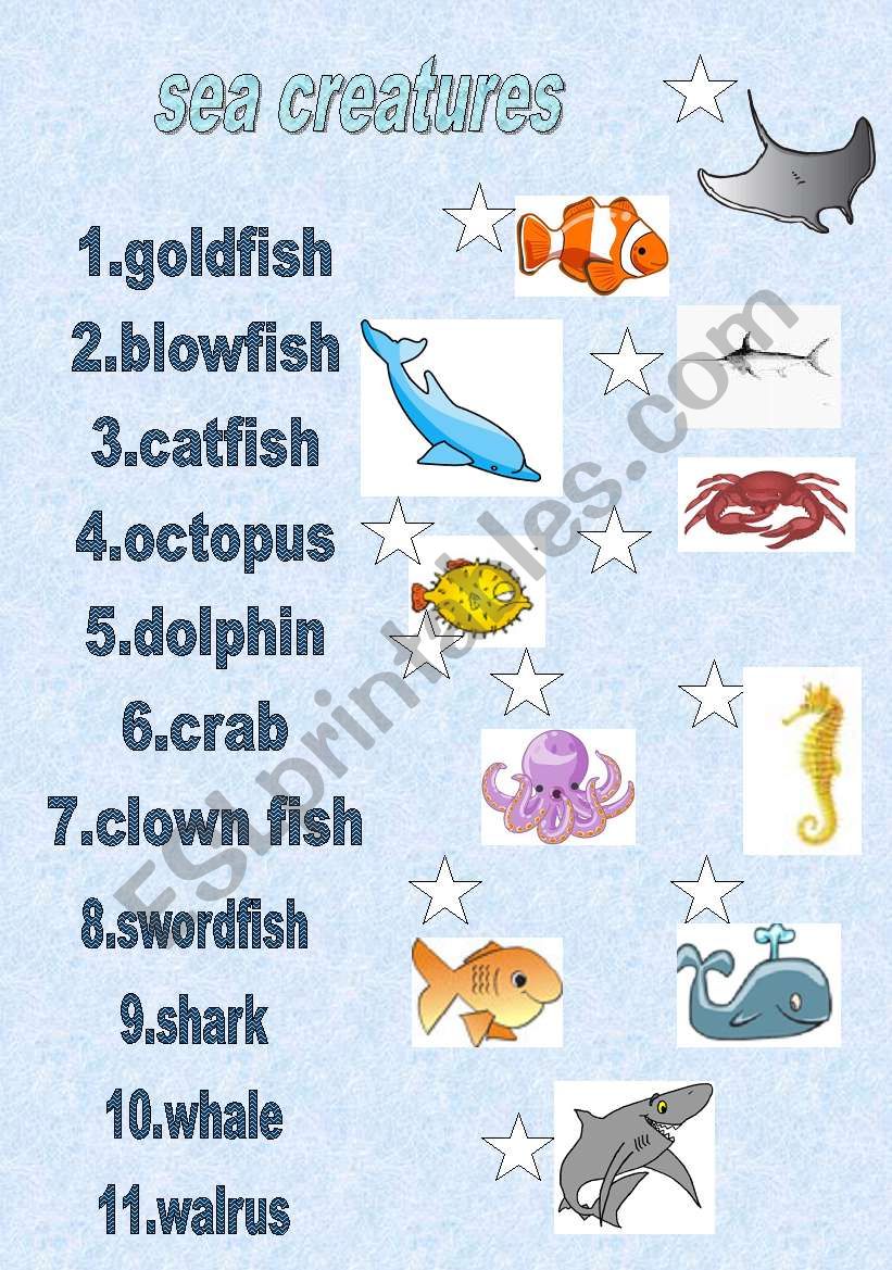 sea creatures worksheet