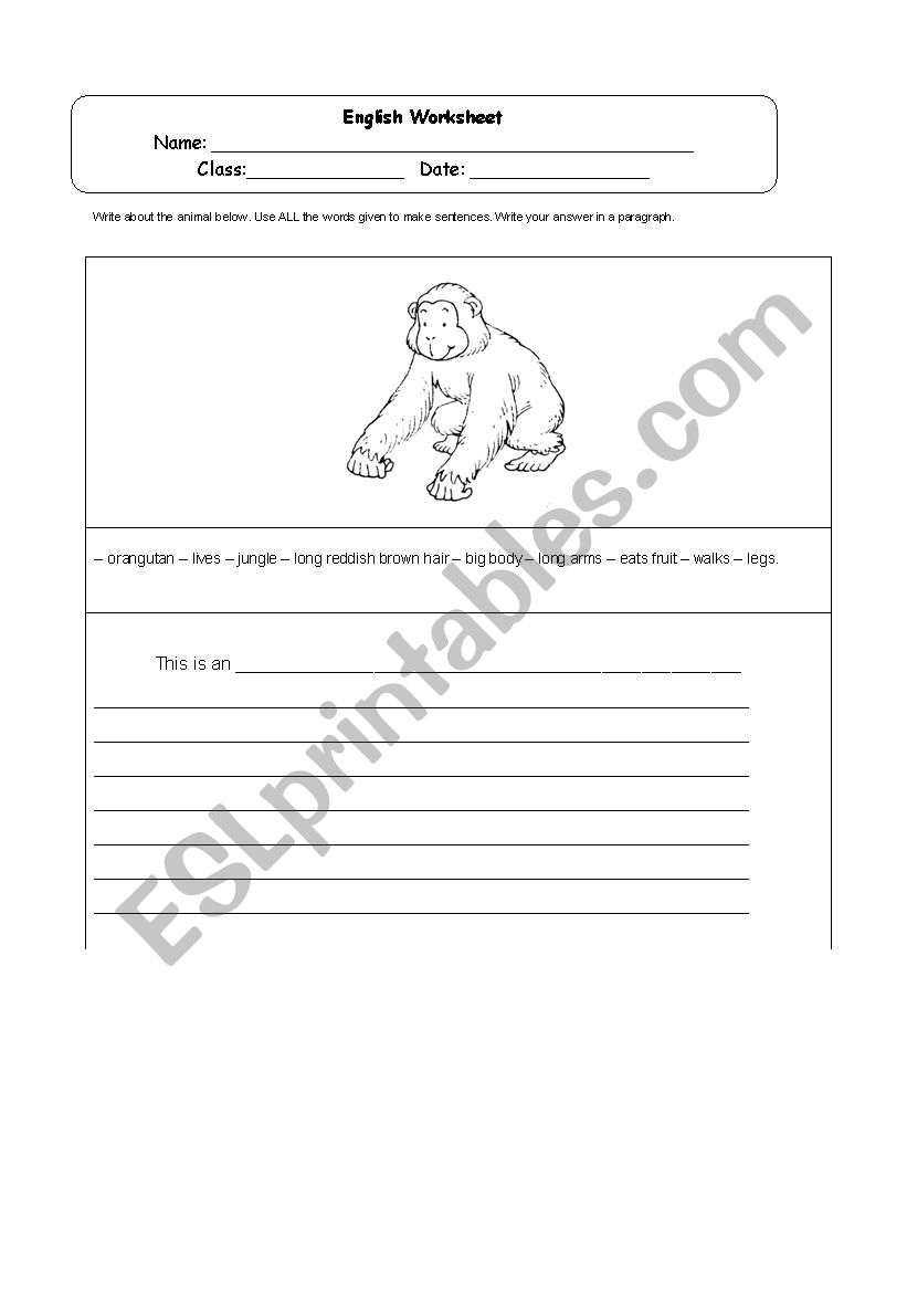 Orang Utan worksheet