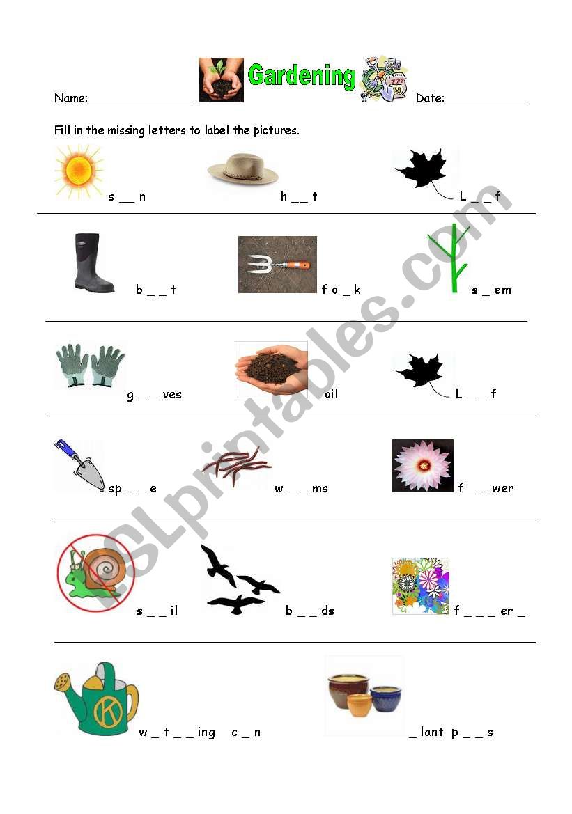 Gardening Basic Vocabulary worksheet