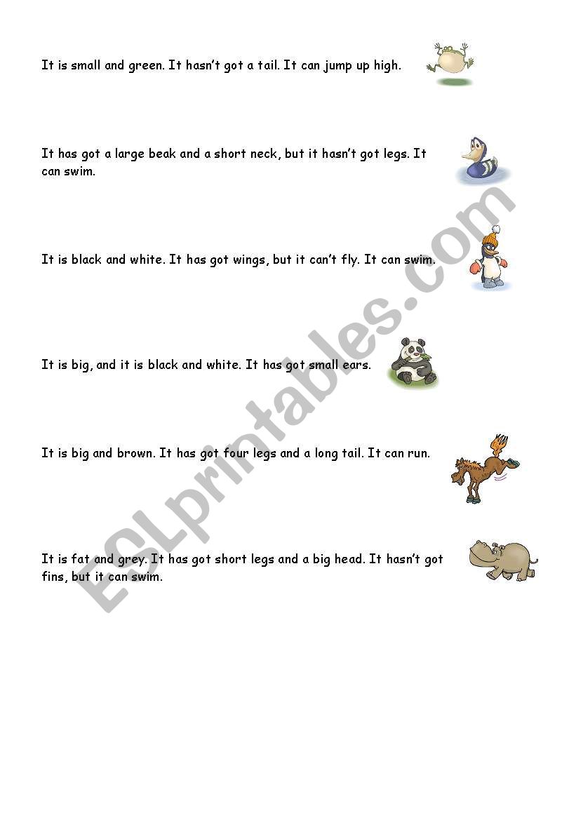 Animal riddles worksheet