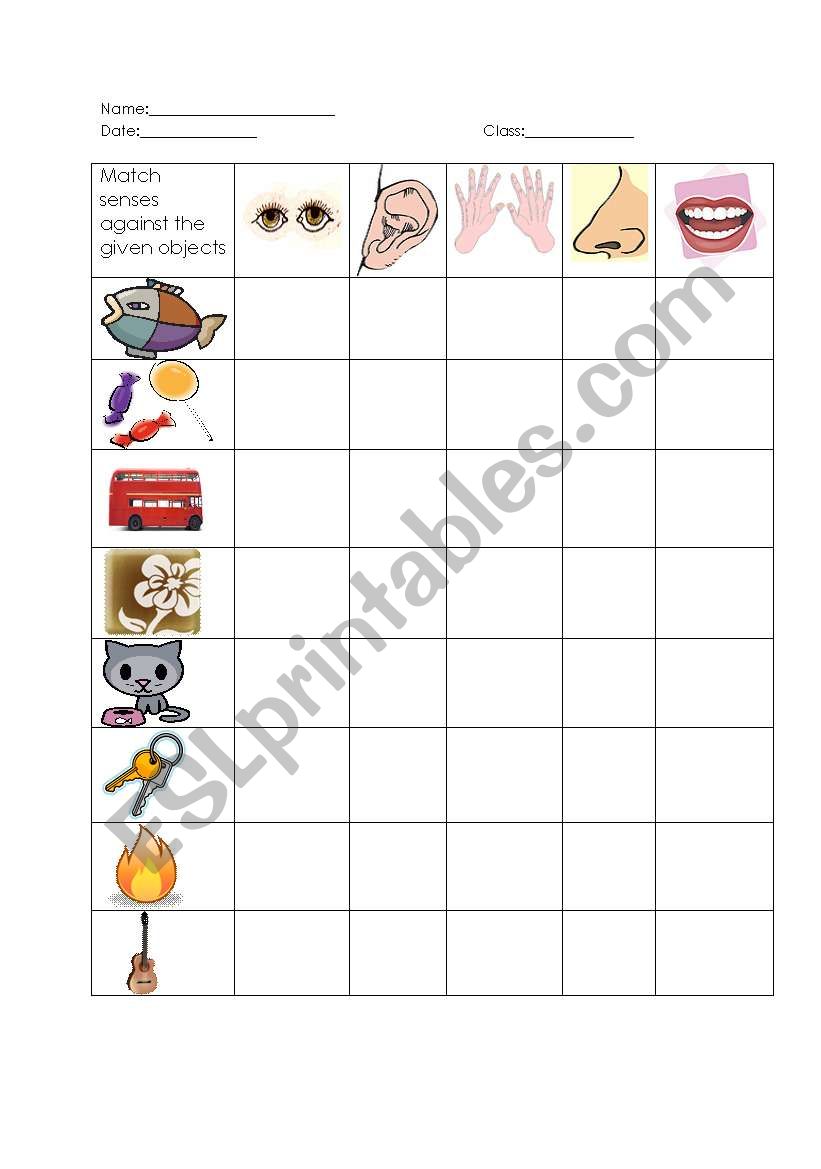 Match objecta against senses worksheet