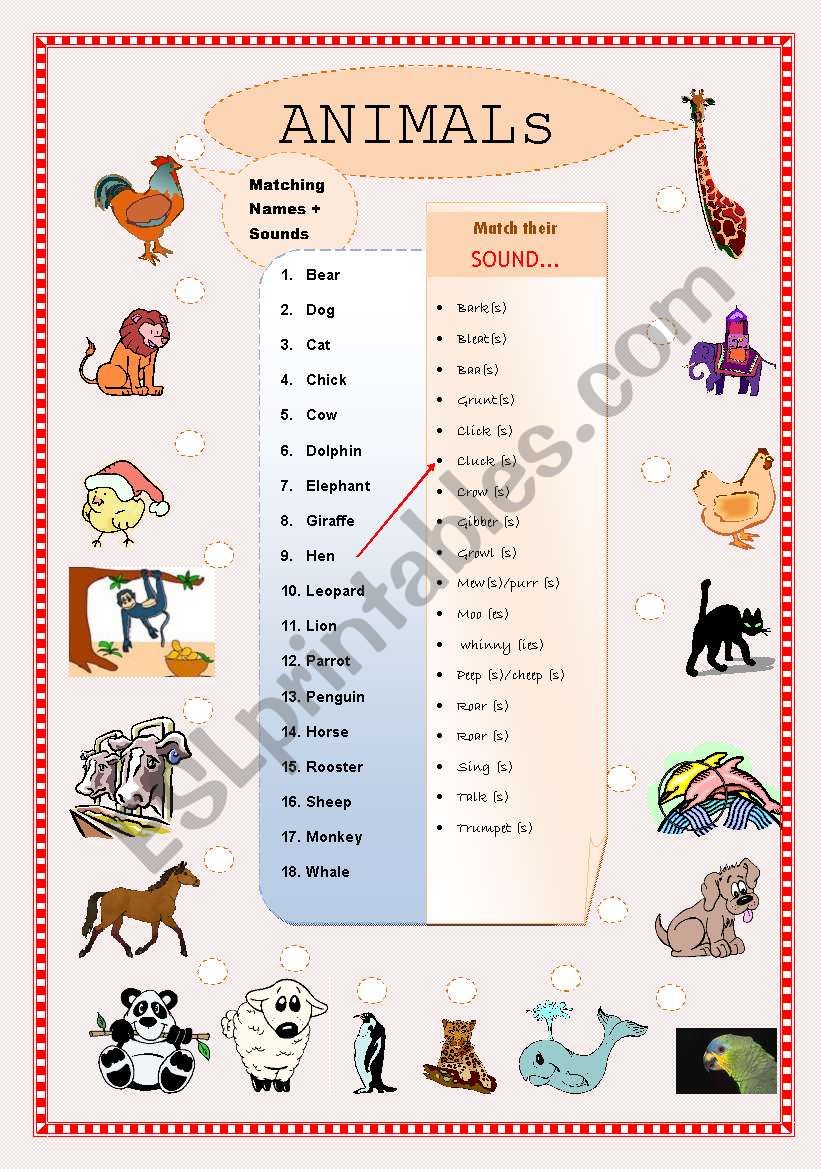 Animals - matching names and sounds - ESL worksheet by ritakirklee