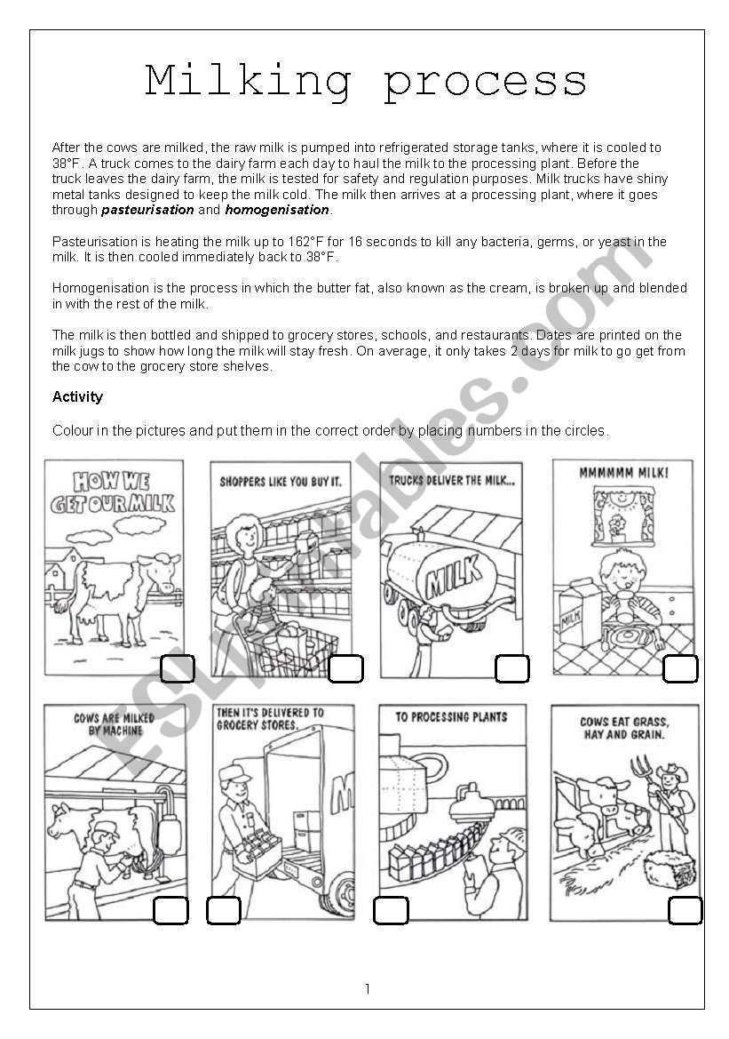 Story of milk worksheet