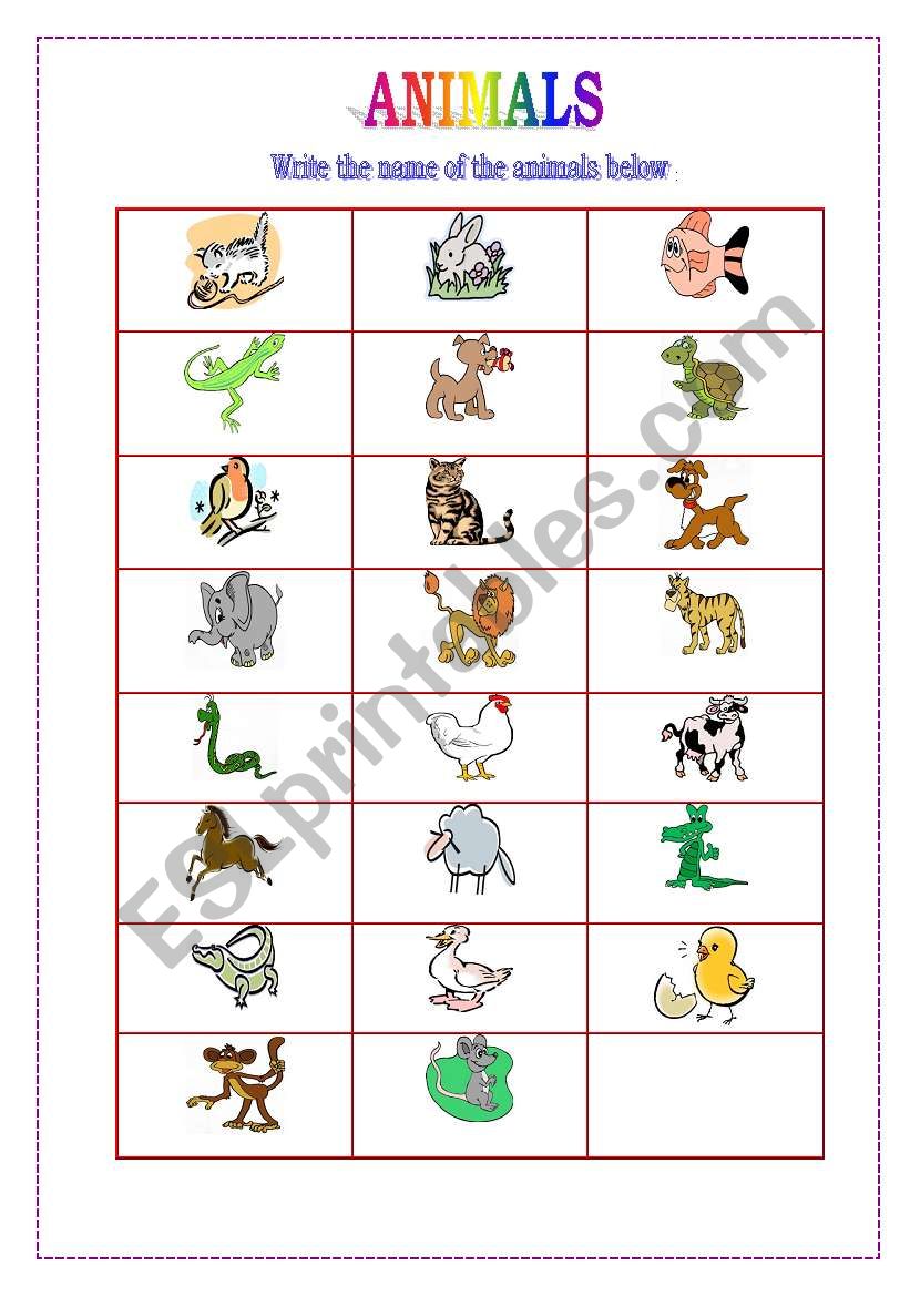 ANIMALS worksheet