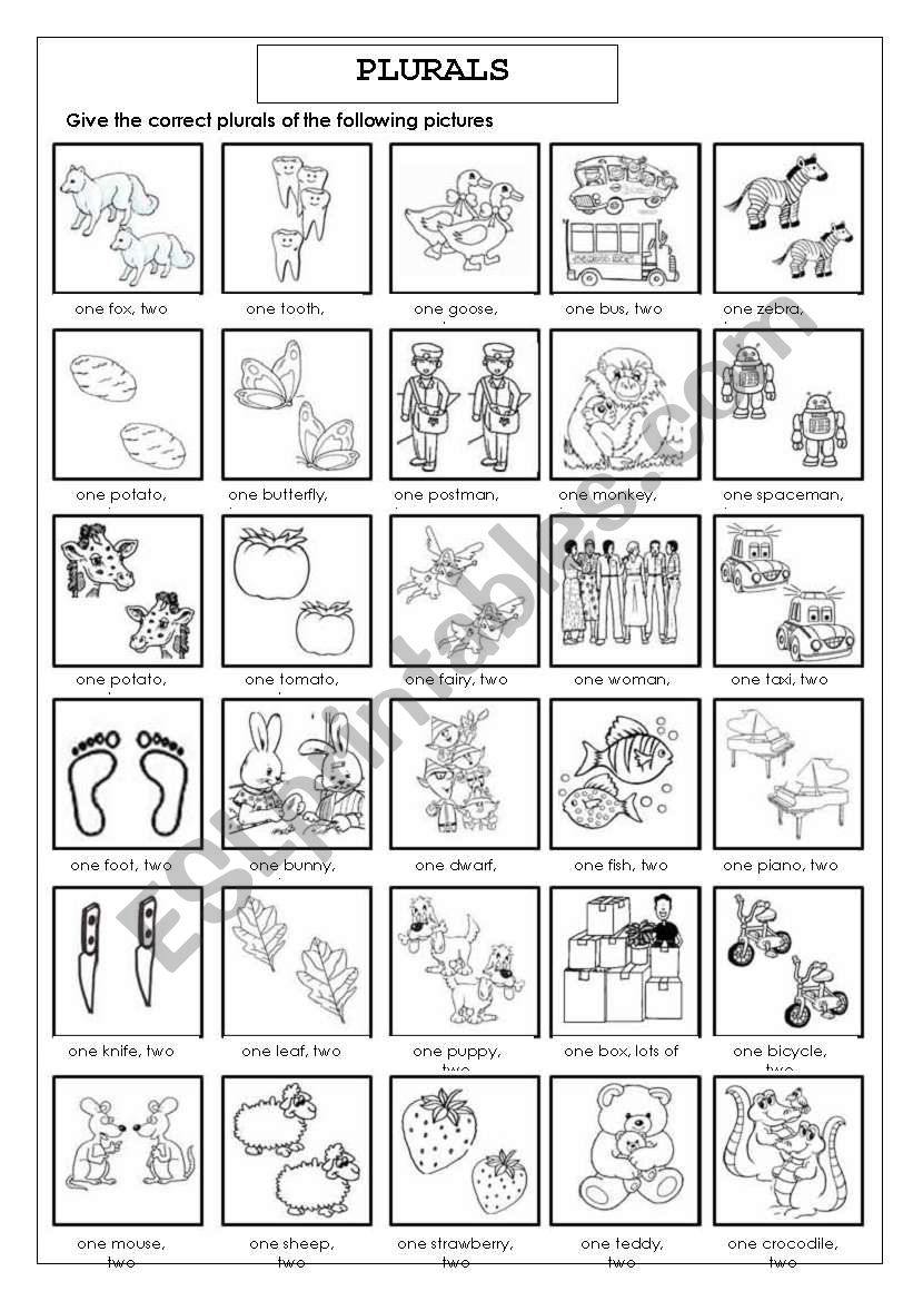 Plurals worksheet