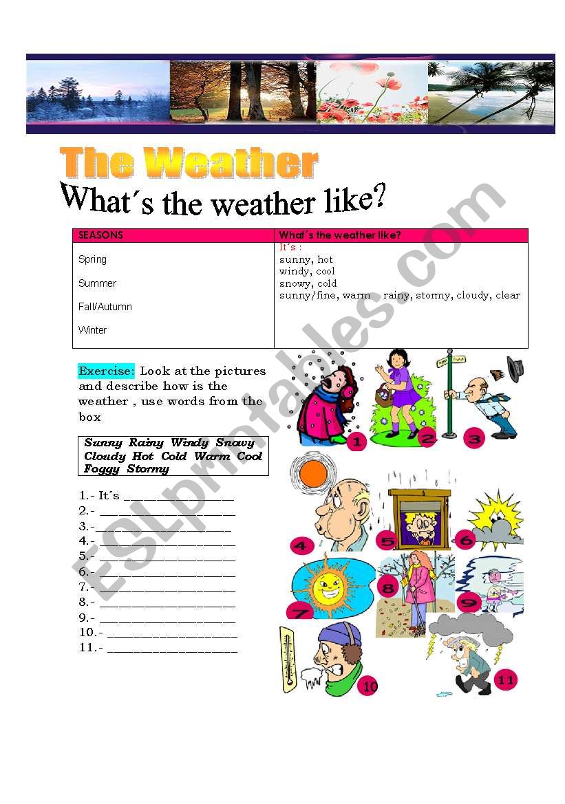 Whats the weather like? worksheet