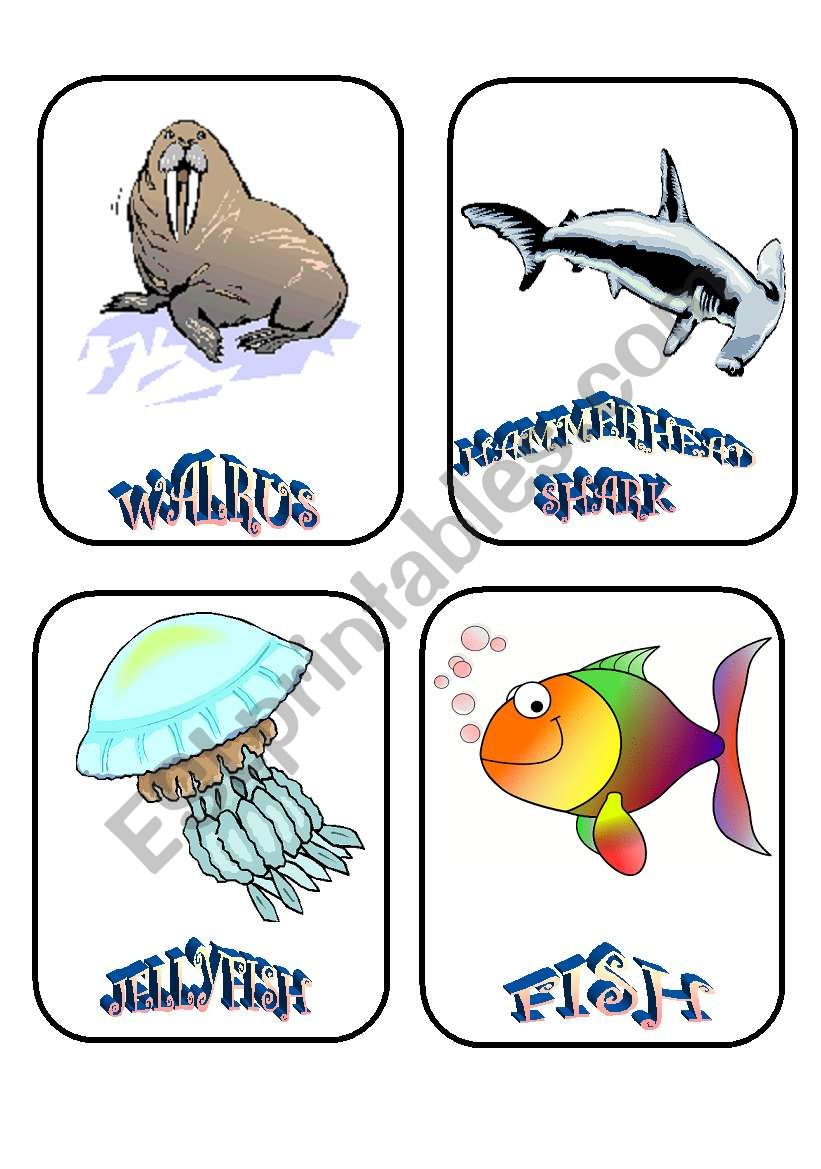 AQUATIC CREATURES 5 worksheet