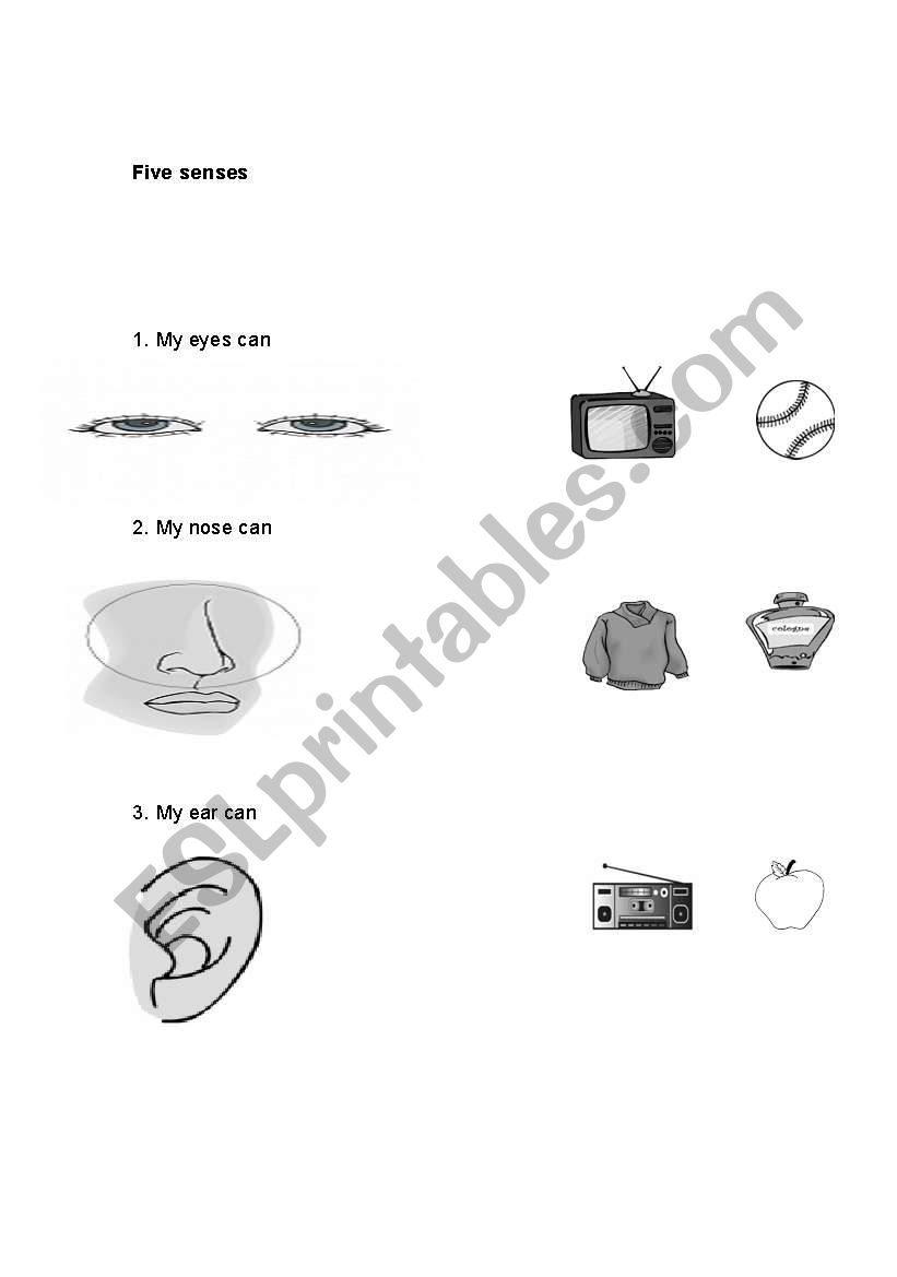 5 senses worksheet