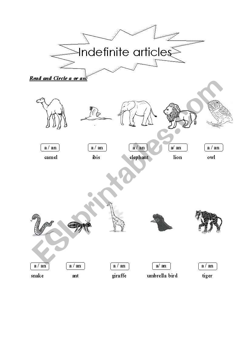 Indefinite articles worksheet