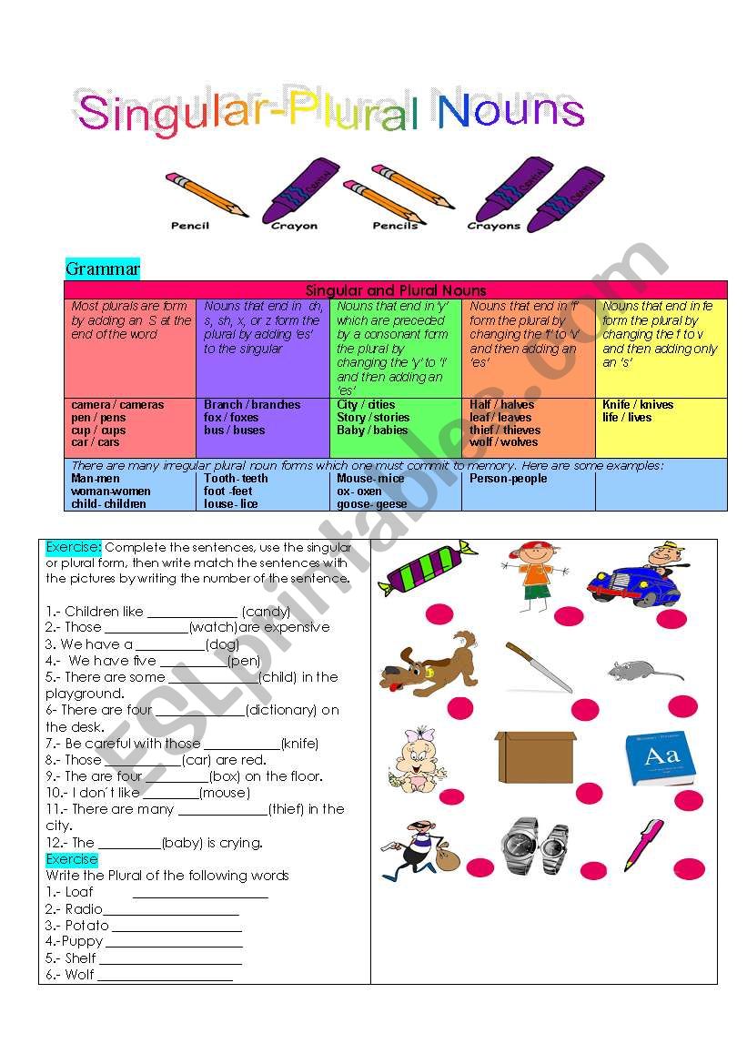 Singular and Plural Nouns worksheet