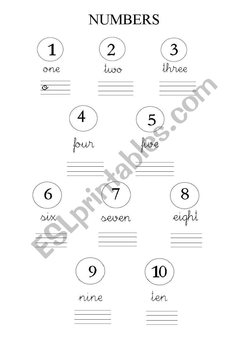 Numbers worksheet