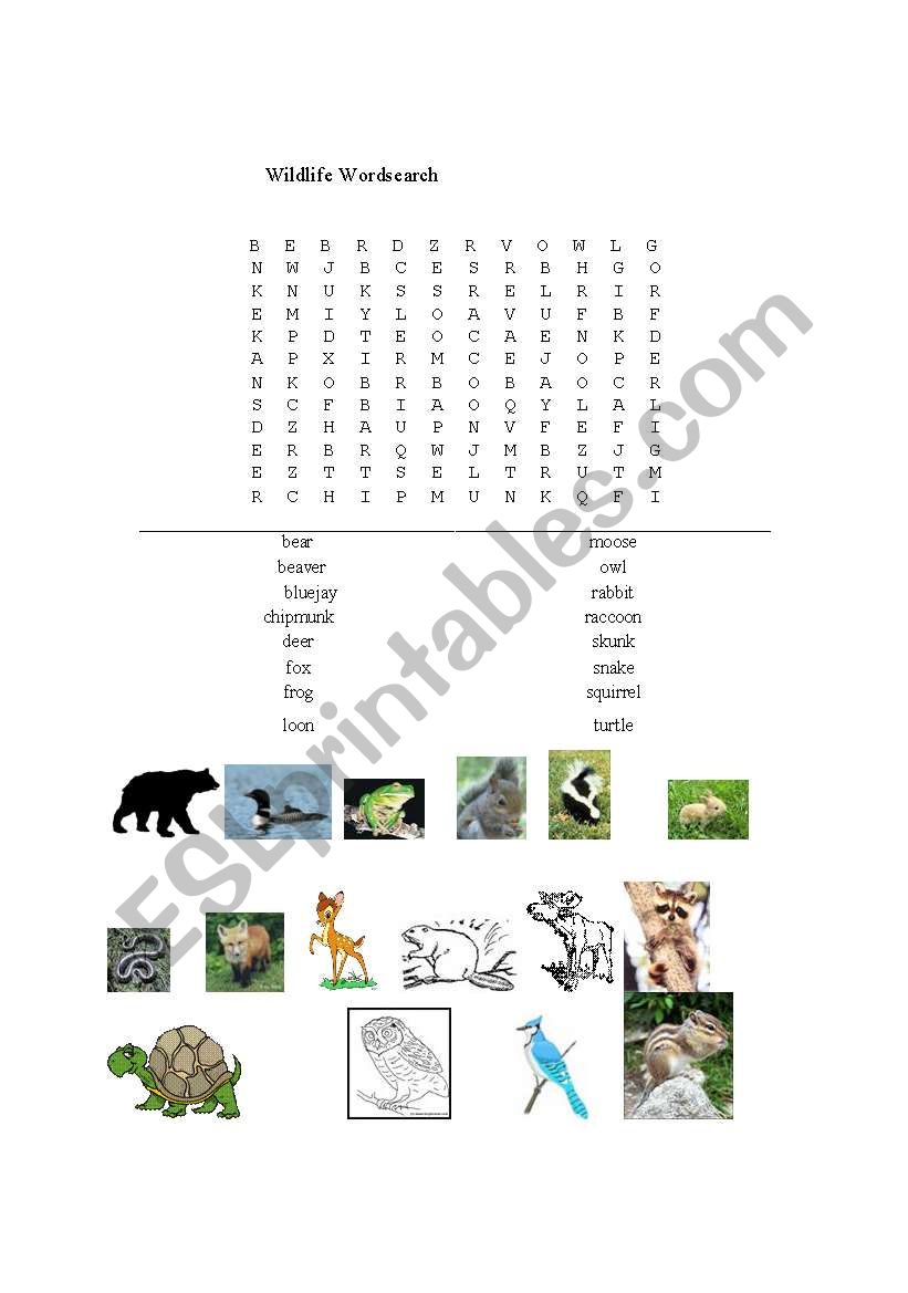 Wildlife Wordsearch worksheet