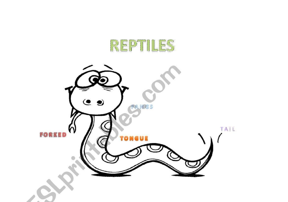 REPTILES worksheet