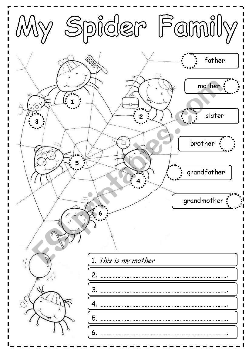 My spider family worksheet