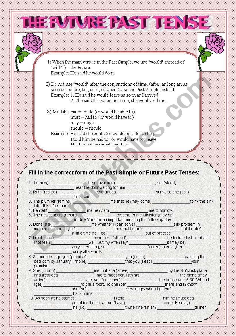 The Future Past Tense worksheet